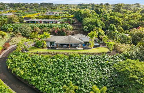 Aloha Vista - Foto 3