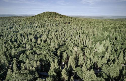 Spacious Cozy and Renovated Mountain Retreat - Foto 59