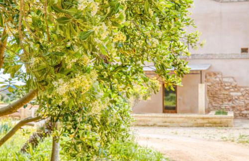 Masseria Scafazzi - Salento - Foto 12