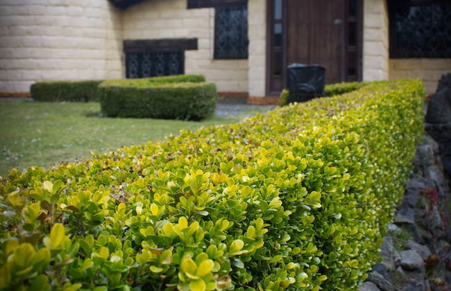 Los Vagones Cabañas Restaurante Bar - Photo 23