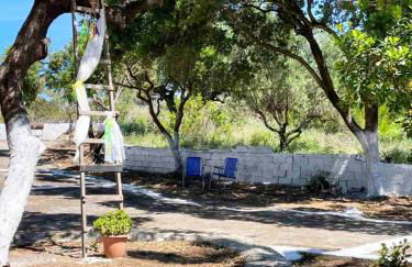 Village Holidays - Chelonaria - Foto 38