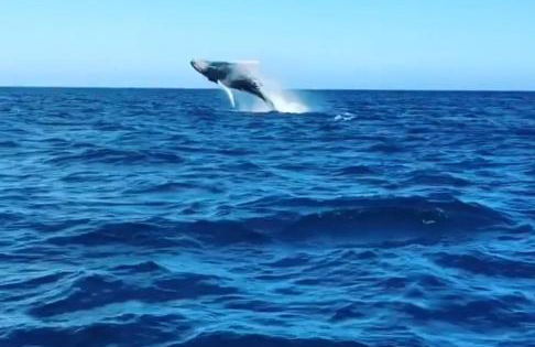 Ótimo Apartamento 306, Arraial do Cabo, RJ, Brasil - Photo 34