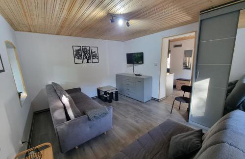 Apartamenty Salamandra - Foto 17