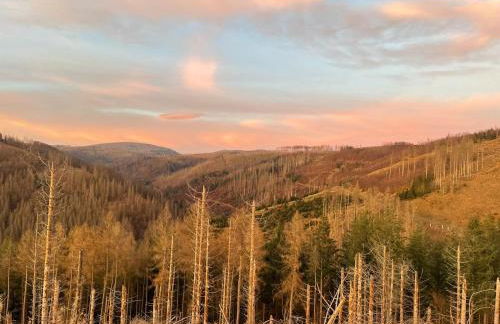 Ferienwohnung Schwarzer Hirsch - Foto 21