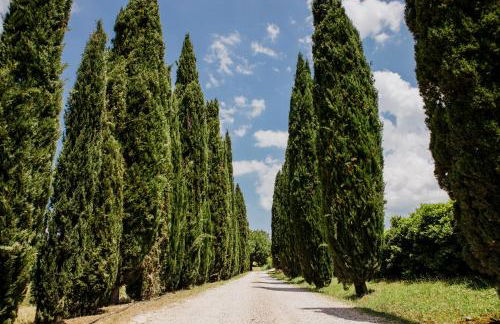 Hotel Relais Santa Genoveffa - Foto 6