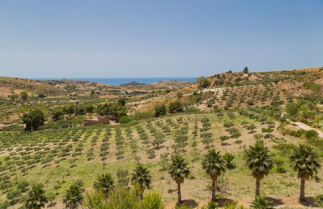 Masseria Agnello - Photo 46