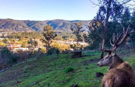 Casa dos Copos - Drinks House - Foto 15