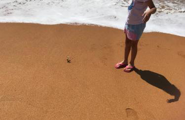 Casa beira mar Jacaraipe. - Photo 11