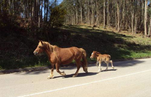 Apartamento en Llanes - Photo 40