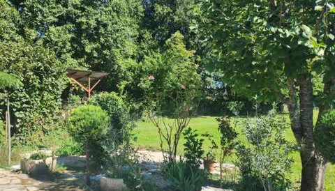 River side house - Photo 3, Garden