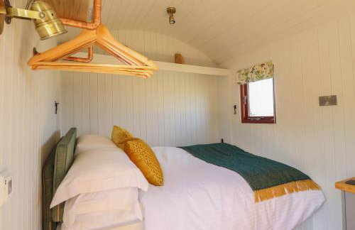 Balwen Shepherd's Hut - Foto 9