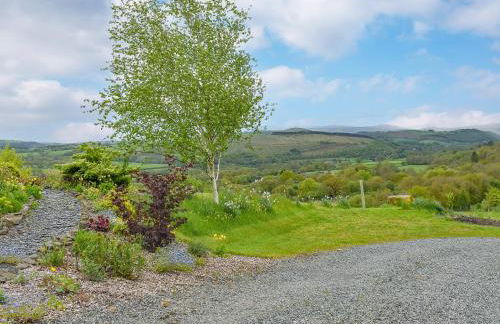 Field View - Foto 21