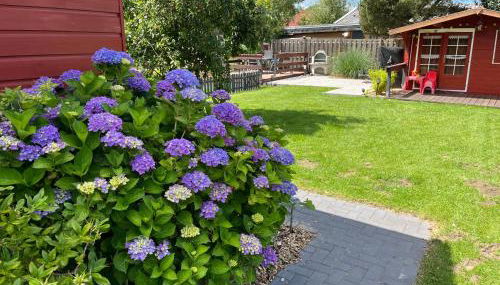 Meerbude am Großen Meer - Ferienhaus - Foto 5, Garden