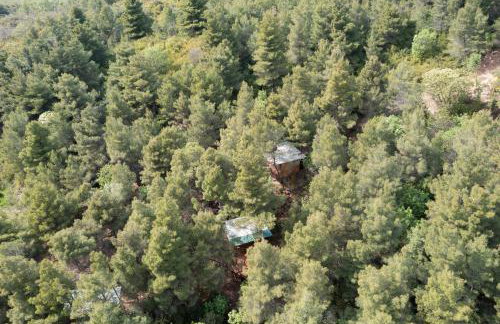 TreeHouses Ljubač Glamping Robinson - Foto 36