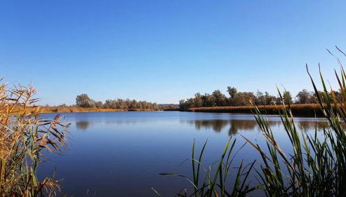 Altstadt Ferienwohnung - Foto 3
