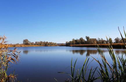 Altstadt Ferienwohnung - Foto 3