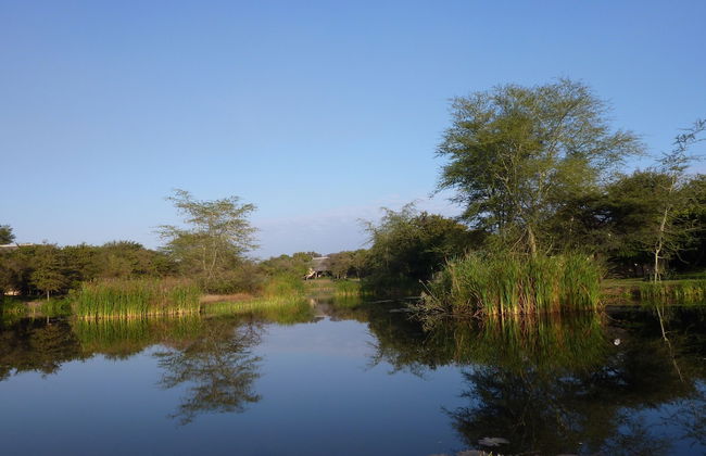 Bush Villas on Kruger - Photo 22