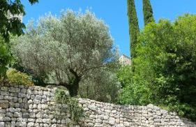 Mas Antonin - Foto 22