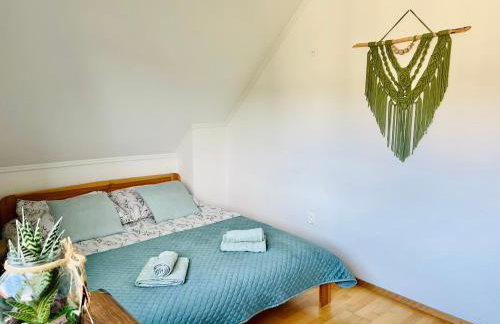 Polańczyk Dom, Apartamenty - Leśny Domek Polańczyk - Photo 12