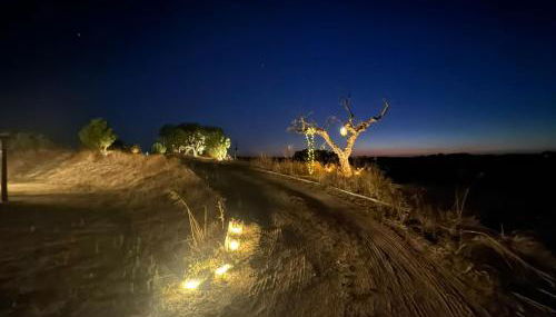 Monte Das 7 Oliveiras - Foto 4