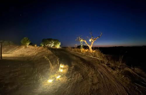 Monte Das 7 Oliveiras - Foto 4