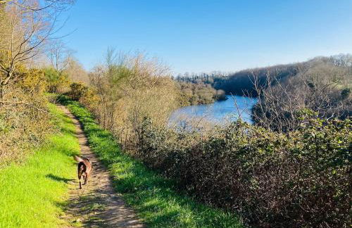 Longère 12 couchages Ploubalay - Foto 11