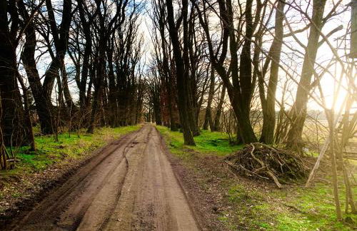 Wohlfühl Oase mit Sauna vor den Toren Berlins - Foto 54