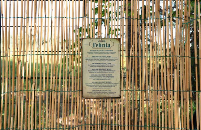 Il Fico nel Pozzo in Fossacesia - Foto 16