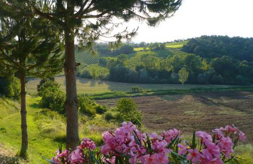 Podere Sionne - Foto 50