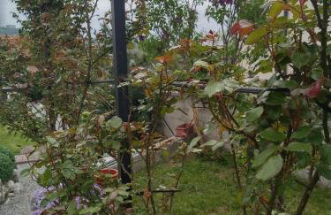 Casa Laura - Foto 72