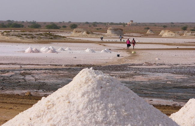 Bungalows Bela Vista Maio Beach - Foto 1