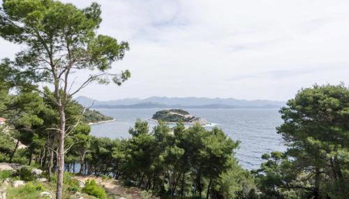 House Matusko - Photo 3