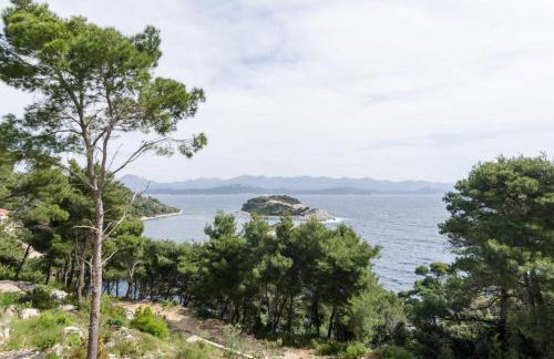 House Matusko - Photo 3