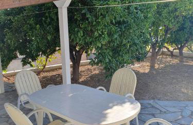 Haus Regina - Foto 24