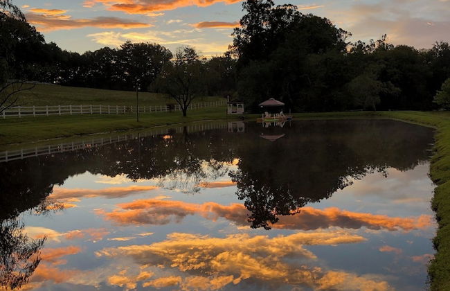 The Horse Shoe Farm - Foto 56