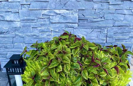 Zielone Zacisze - Foto 53