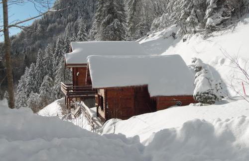 Appartement Col de la Faucille - Foto 11