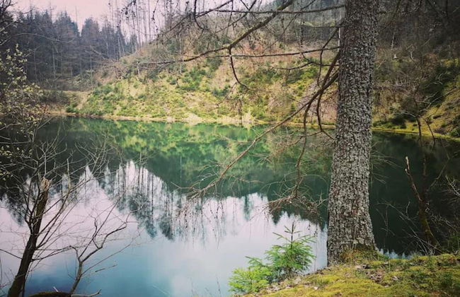 Apartment in Wildemann Near Harz Forest - Foto 29