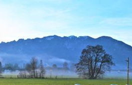 Ferienappartement Austen - Foto 13