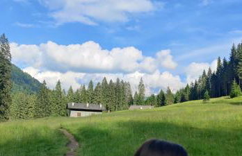 Ursus Chalet - Foto 27