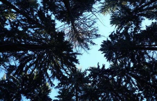 Ferienhaus Jägerhaus Oppach Alleinlage mit See - Foto 62