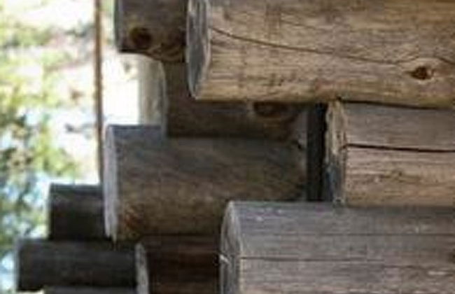 Näätämö - Foto 20