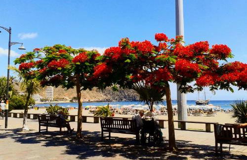 Casa Sonny - Foto 40