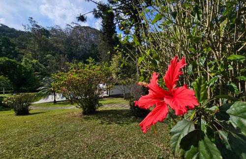 Casa Incrível em Nova Friburgo - Espaço Humedica - Foto 61