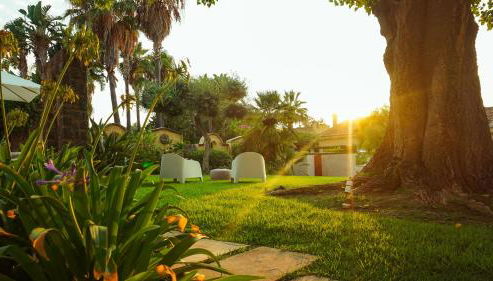 Villa Medina - Photo 3, Garden