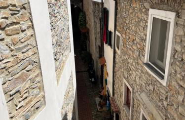 Il sole sopra gli ulivi - Foto 8