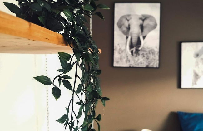 Cosy 2-bedroom Apartment in the Center of Hotton - Photo 12