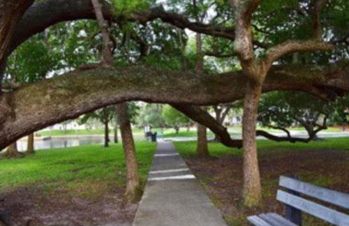 Spacious 3 Bedroom PET FRIENDLY!- Close to beach! - Foto 45