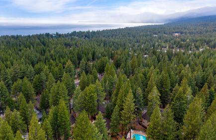 Tahoe Dreamin by Avantstay Central Location - Foto 88