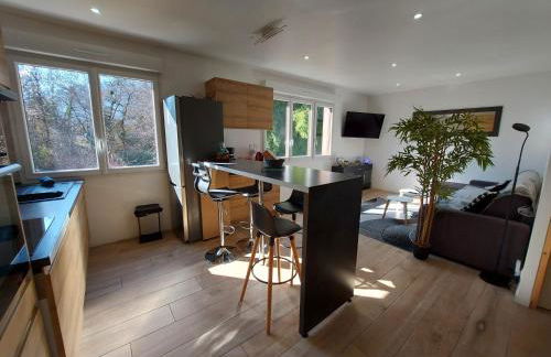 Superbe appartement au centre de St Jorioz - Photo 17